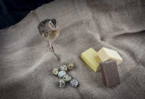 Sapuni od svezih prepelicinih jaja Tanoshinde DOO