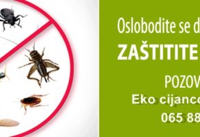 Eko cijancontrol MBD – Novi Sad