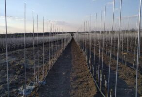 NATUR AQUA TEMERIN – Bušenje bunara