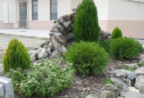 Rasadnik – Zlatna bašta, Nova Pazova