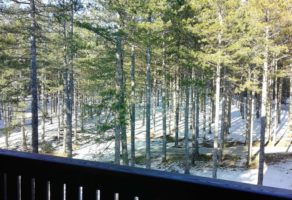 Apartman Monika Zlatibor