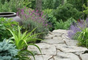 Rose Garden – Projektovanje, uređenje i održavanje zelenih površina