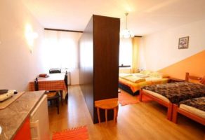 Apartmani Lukić – Soko banja