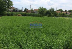 Agencija za nekretnine M&S Ruma