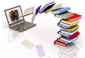 Knjigovodstvena Agencija Nena NS 021