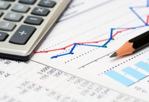 Knjigovodstvena Agencija Nena NS 021