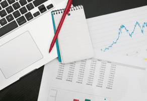 Knjigovodstvena Agencija Nena NS 021