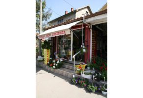 Cvećara Mini Orhideja – Beograd