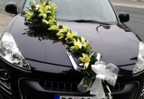 Cvećara Mini Orhideja – Beograd