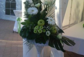 Cvećara Mini Orhideja – Beograd