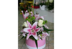 Cvećara Mini Orhideja – Beograd