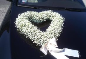 Cvećara Mini Orhideja – Beograd