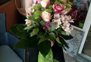 Cvećara Mini Orhideja – Beograd