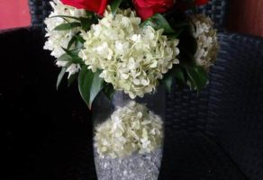 Cvećara Mini Orhideja – Beograd