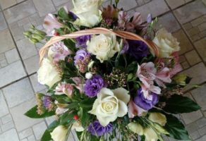 Cvećara Mini Orhideja – Beograd