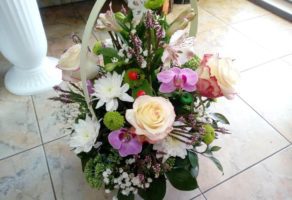 Cvećara Mini Orhideja – Beograd