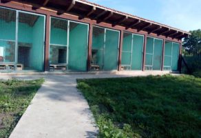 Pansion za pse PEGONNI – Novi Sad