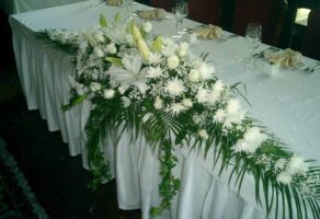 Cvećara Mini Orhideja – Beograd