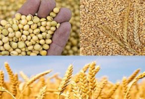 Privredno Drustvo Dulijan Agrar