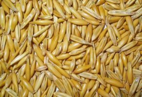 Privredno Drustvo Dulijan Agrar