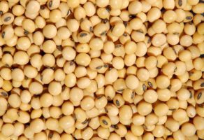 Privredno Drustvo Dulijan Agrar