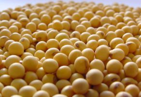 Privredno Drustvo Dulijan Agrar