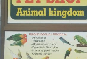 Pet Shop Animal Kingdom Požega