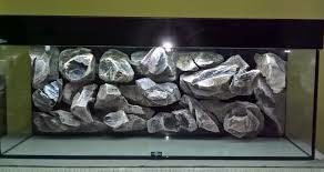 Pet Shop Animal Kingdom Požega