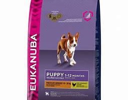 Pet Shop Animal Kingdom Požega