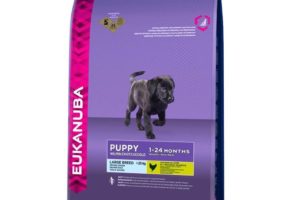 Pet Shop Animal Kingdom Požega