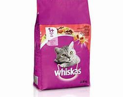 Pet Shop Animal Kingdom Požega