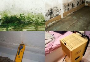 Izvlačenje Vlage U Vašem Domu