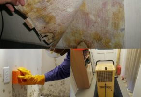 Izvlačenje Vlage U Vašem Domu