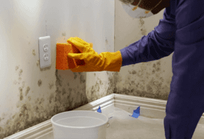 Izvlačenje Vlage U Vašem Domu