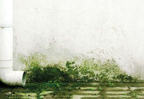 Izvlačenje Vlage U Vašem Domu