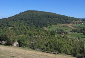 DOMAĆINSTVO ILIJE MILIĆEVIĆA – Lisa Ivanjica