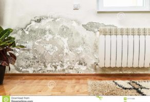 Izvlačenje Vlage U Vašem Domu