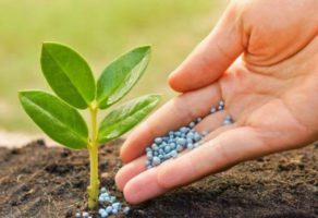 Poljoprivredna apoteka FLORA Beograd