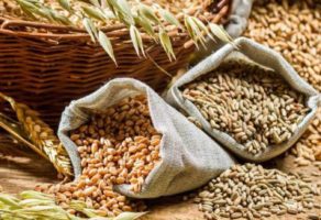 Poljoprivredna apoteka FLORA Beograd